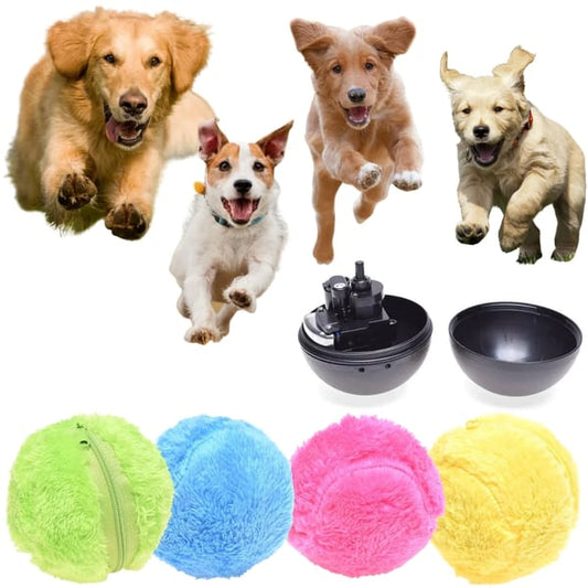 🐶LAST DAY HOT SALE 49% OFF - Active Rolling Ball (4 Colors Included)-🔥Buy More,Save More!🔥
