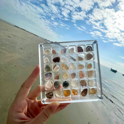 🌊Summer Hot Sale 49% OFF✨Acrylic Magnetic Seashell Display Box