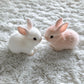 🎁Children's Day🌟Surprise: 60% OFF on My Realistic Bunny Toy! 🐇