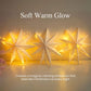 🎁🎅Christmas Special Sale - 50% OFF💝Starry Christmas Hanging Lights