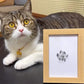 🔥HOT SALE 49% OFF🔥Memorial🐱🐶Pet Paw Printing Kit
