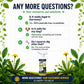 ❤️‍🔥⏳💥Final 3 hours-￡7.99!!⚡[Easy and stress-free weeding in the garden] Herbicide for domestic use