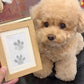 🔥HOT SALE 49% OFF🔥Memorial🐱🐶Pet Paw Printing Kit