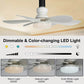 🔥Summer Hot Sale 49% OFF🔥Bright Cool Ceiling Socket Fan & Light with Remote