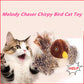 🔥BIG SALE 49% OFF🔥😻🐾Interactive Chirping Bird Cat Toy