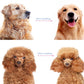 ⏳LAST DAY: Buy 2 Get 1 FREE! 🎉 #1 in UK Pet Grooming 2026 🏆Professional Double-Sided Deshedding Brush for Dogs & Cats – Reduces Shedding by 90%💪