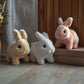 🎁Children's Day🌟Surprise: 60% OFF on My Realistic Bunny Toy! 🐇