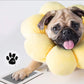 🔥HOT SALE 49% OFF🔥Memorial🐱🐶Pet Paw Printing Kit
