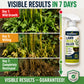 ❤️‍🔥⏳💥Final 3 hours-￡7.99!!⚡[Easy and stress-free weeding in the garden] Herbicide for domestic use