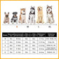 🔥Early Winter Discount-49% OFF⏰ Super Absorbent Pet Bathrobe