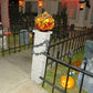 🎃HOT SALE 49% OFF🎃Halloween Pumpkin with Pop-Up Head and Sound Activation