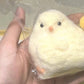 🐥HOT SALE 49% OFF🐤Stress Releasing Little Chick Squeeze Toy