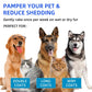 🐶New Year Hot Sale 50% OFF🐶Pet Spray Hair Removal Comb