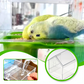 🔥Autumn Special Sale 50% OFF✴️Pull-Out External Parrot Feeder🦜