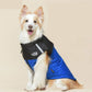 🎁🎅Christmas Special Sale - 50% OFF🐶Waterproof Windproof Winter Dog Coat