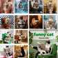 😻📆New Year Hot Sale 49% OFF🔥💥-2026 Fun Animal Wall Calendar - 12 Months