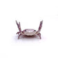 🔥LAST DAY 50% OFF❤️🤣 Funny Hot Sale - 🦀 Cute crab-shaped pen holder
