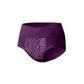 Women's High-Waist Lace Briefs