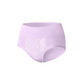 Women's High-Waist Lace Briefs