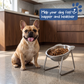 ⏳LAST DAY SALE 50% OFF!🥣15° Tilted Orthopaedic Feeding Bowl