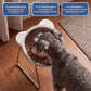 ⏳LAST DAY SALE 50% OFF!🥣15° Tilted Orthopaedic Feeding Bowl