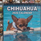 ⏳LAST DAY SALE ONLY ￡7.99!!Funny Animal Calendar 2026 Calendar
