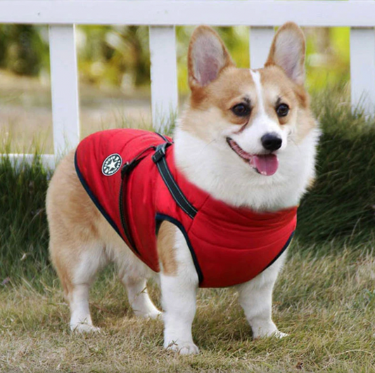 🎉 50% OFF!🐕 Winter Warm Pet Dog Waterproof Jacket With Harness🐕‍🦺