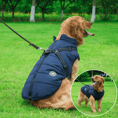 🎉 50% OFF!🐕 Winter Warm Pet Dog Waterproof Jacket With Harness🐕‍🦺